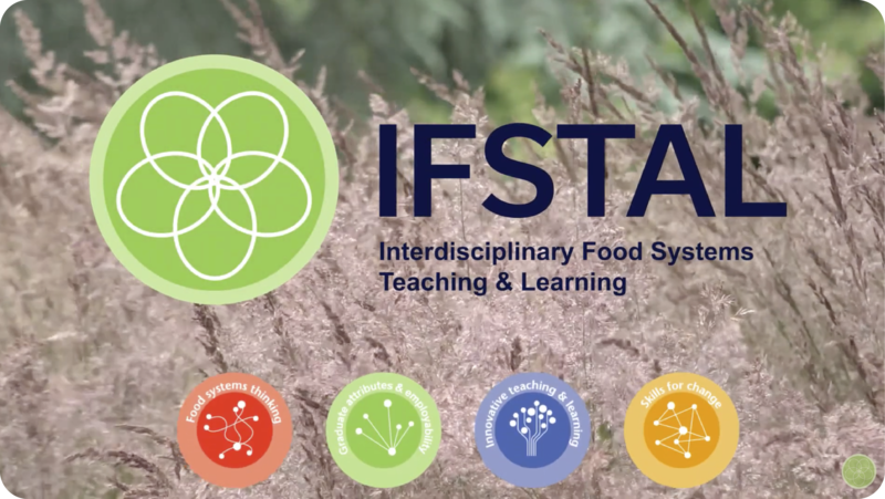 IFSTAL YouTube